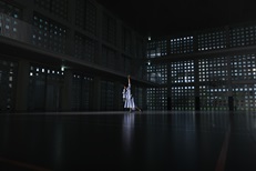 RF 16-28mm F2.8 IS STM