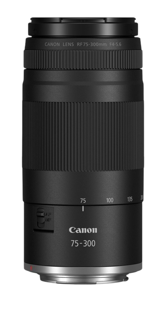 RF 28-70mm F2.8 IS STM