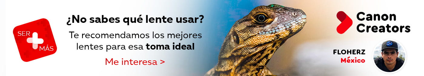 Te recomendamos los mejores lentes para esa Toma Ideal