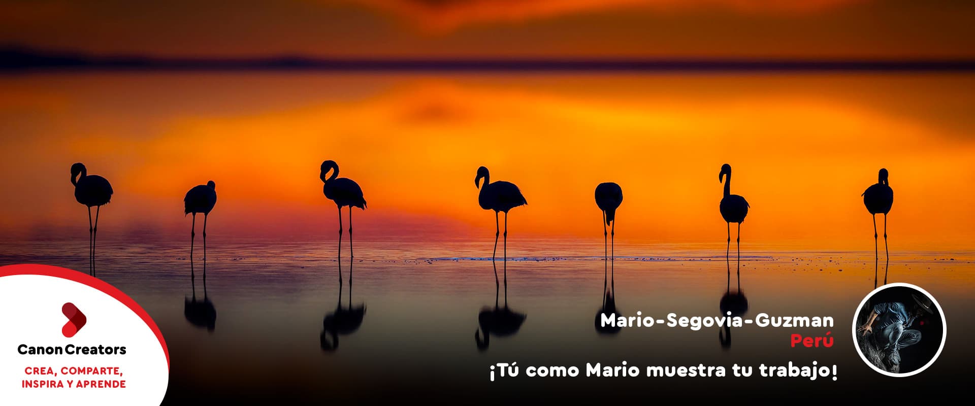 Canon Creators - Crea, comparte, inspira y aprende