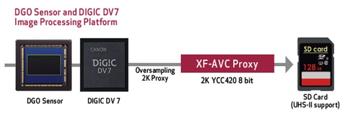 Caracteristicas EOS C300 Mark III