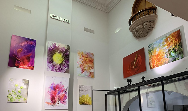 Art Collection