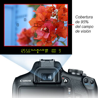 Speedlite Flash con visualización LCD compatible con Canon EOS Rebel T7 :  : Electrónicos