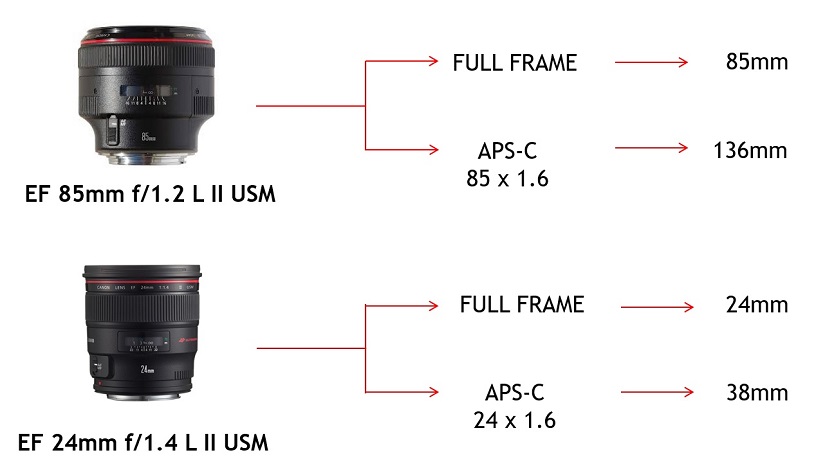 Canon Mexicana Líder en Solución de Imagen