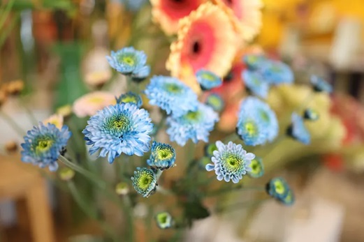 RF 24mm F1.4L VCM