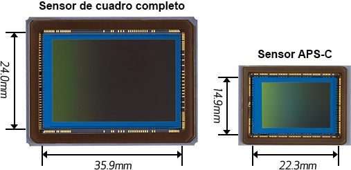 26.2 Megapixel Full-frame CMOS Sensor