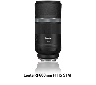 Lente RF600 F11 IS STM