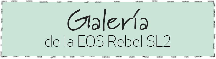 EOS Rebel SL2 Gallery